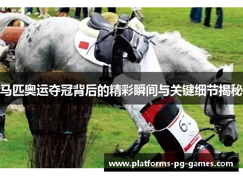 马匹奥运夺冠背后的精彩瞬间与关键细节揭秘 马匹奥运夺冠背后的精彩瞬间与关键细节揭秘